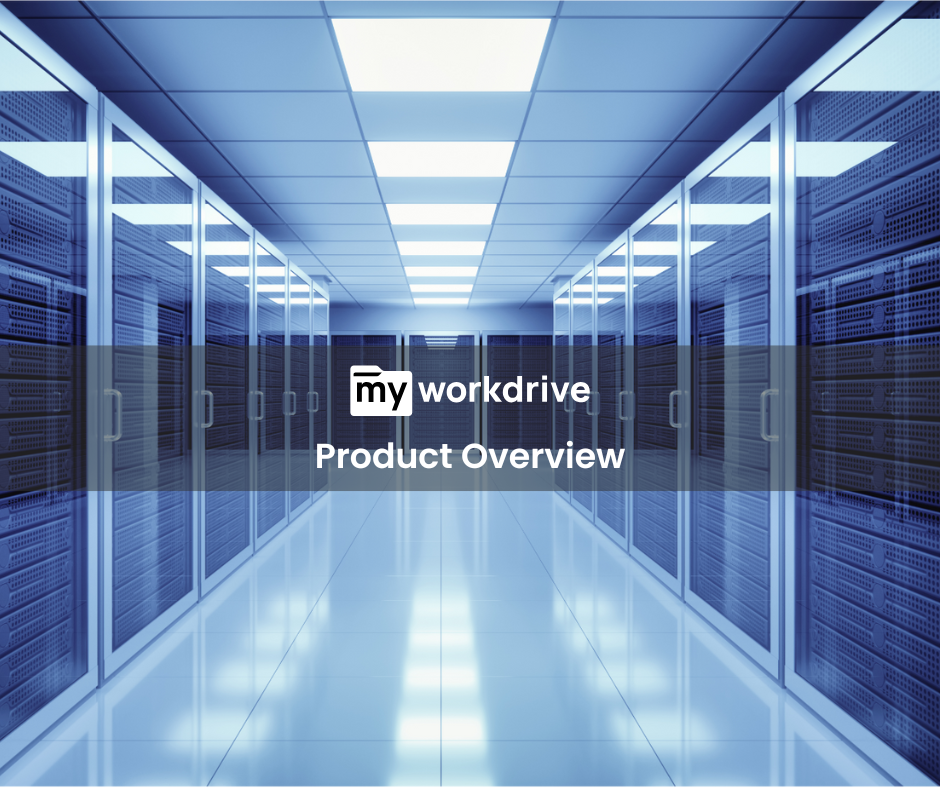 MyWorkDrive by Intivix whitepaper highlighting 7 business use cases for secure file access