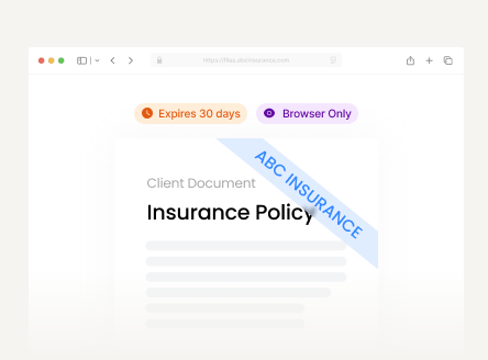Insurance Agent